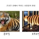 현실+상 이미지