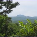 서귀포자연휴양림1 이미지