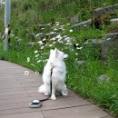 양정염포도서관 이미지