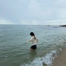 해변여행횟집 이미지