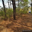 초지강화공인중개사사무소 이미지