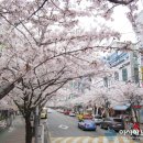 옥곡동 강변도로 이미지