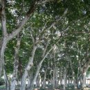 남원공원민박 이미지