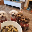 펜션바우 이미지