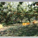 횃불농장 이미지