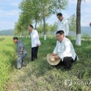 월랑농장 이미지