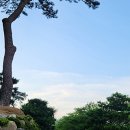운촌삼거리 네이버블로그