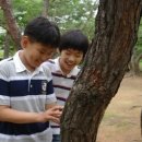 자연관찰 탐구활동 이미지