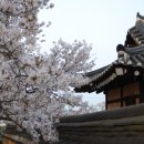 왕인박사유적지 이미지