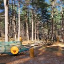 잣향기푸른숲 유아숲체험원 이미지