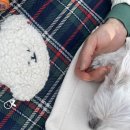 댕수무강 이미지