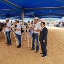 진일목장 이미지