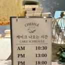 저녁)두가지 매력, 식빵&케이크(9월~10월/8주) | 치플레 현대 백화점 충청점 팝업스토어 오픈런 솔직후기