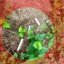 보라매약수터 이미지