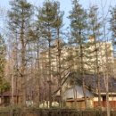 고양근린공원 이미지