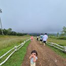 11650-11-24-15 | 평창 휘닉스파크 아기랑 2박3일 코스｜24개월 워터파크·키즈놀이터·곤돌라까지 솔직 후기