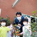 관악구 낙성대동-19 서울신문