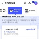 VIP.T | SK텔레콤 해외출장 T로밍 OnePass VIP 사용후기