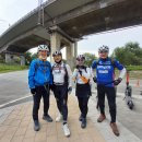 분당-391 이미지