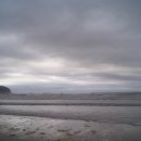 돌핀스 모텔 이미지