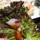 도찬2 | 용인 숨은 맛집 보라동동 대박횟집 회포장