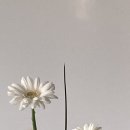 도형축사 이미지