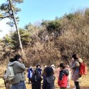 양지뜰어린이집 이미지