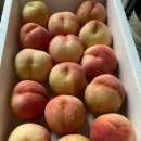 천하제일농장 이미지