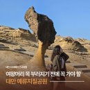 대만 예류 지질공원 타이베이 근교여행 솔직후기(여왕머리, 소요시간, 예스지버스투어&amp;택시투어 비교)