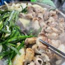 소 곱창 이미지