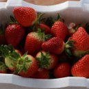 종덕농장 이미지