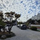 달빛에 구운 고등어 남원점 이미지