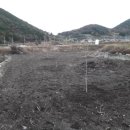 주산농장2 이미지