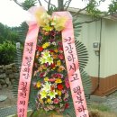 하원동경로당 Daum카페