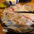 영도구-15 해동병원맞은편정류장 | 부산여행맛집 / 아늑한 동네술집감성 영도술집 해담