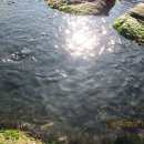 배꼽친구 이미지