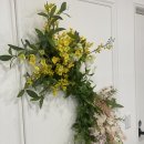 포레스트성형외과의원 이미지