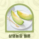 삼영 농장 이미지