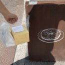 (주)도라후구현복집 | 내돈내산 대전도넛맛집 솔직후기 맛추천 | 대전 지족동 현복도넛