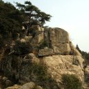 영화동천 이미지