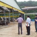 보령축산 이미지