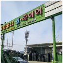 그린타이어 이미지