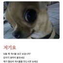 타이어마스타 마포점 | 추억만큼 나이를 먹는 거야