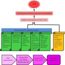 Nicotinamide mononucleotide (NMN) as an anti-aging health product 이미지