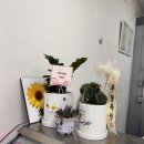 인천 숙성 고기전문 정육점 [우담축산], 캠핑고기 구매는 여기서!(내돈내산)