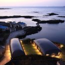 오롯이 제주 스테이 이미지