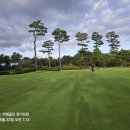 코스카cc 이미지