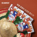 리하베스트 X OB맥주 :: 푸드 업사이클링 타코 쫀드기 프라이즈 후기, 맥주 안주 추천