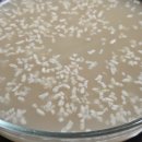 부부손맛 이미지