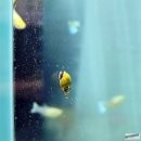 (주)부방유통이마트안양점 이미지